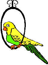 Papagáj